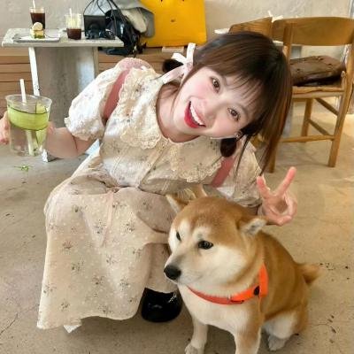 中华小当家 动画版